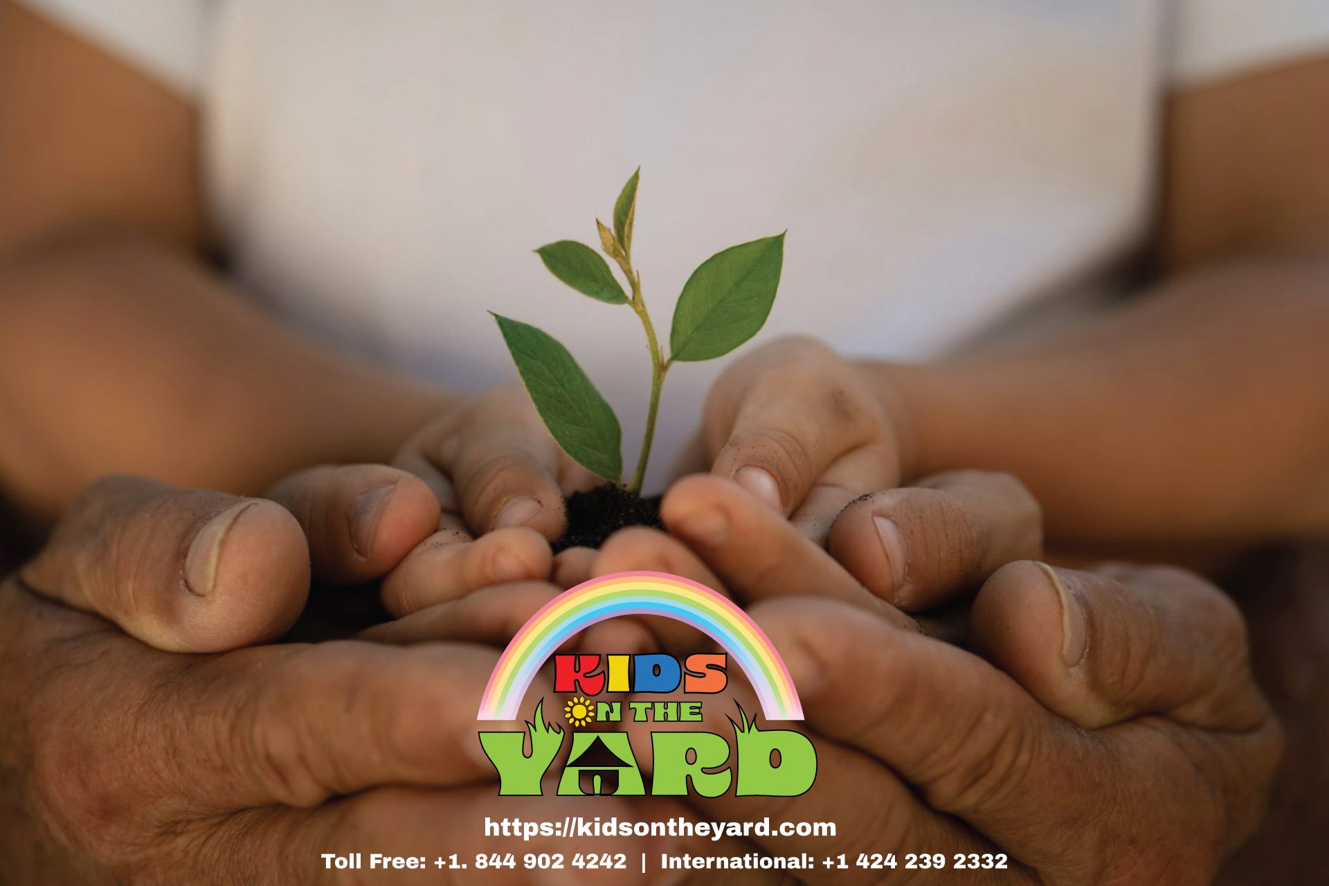 Holistic Education Approach