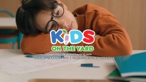 Understanding 504 Plans vs. IEPs: What’s Right for Your Child?