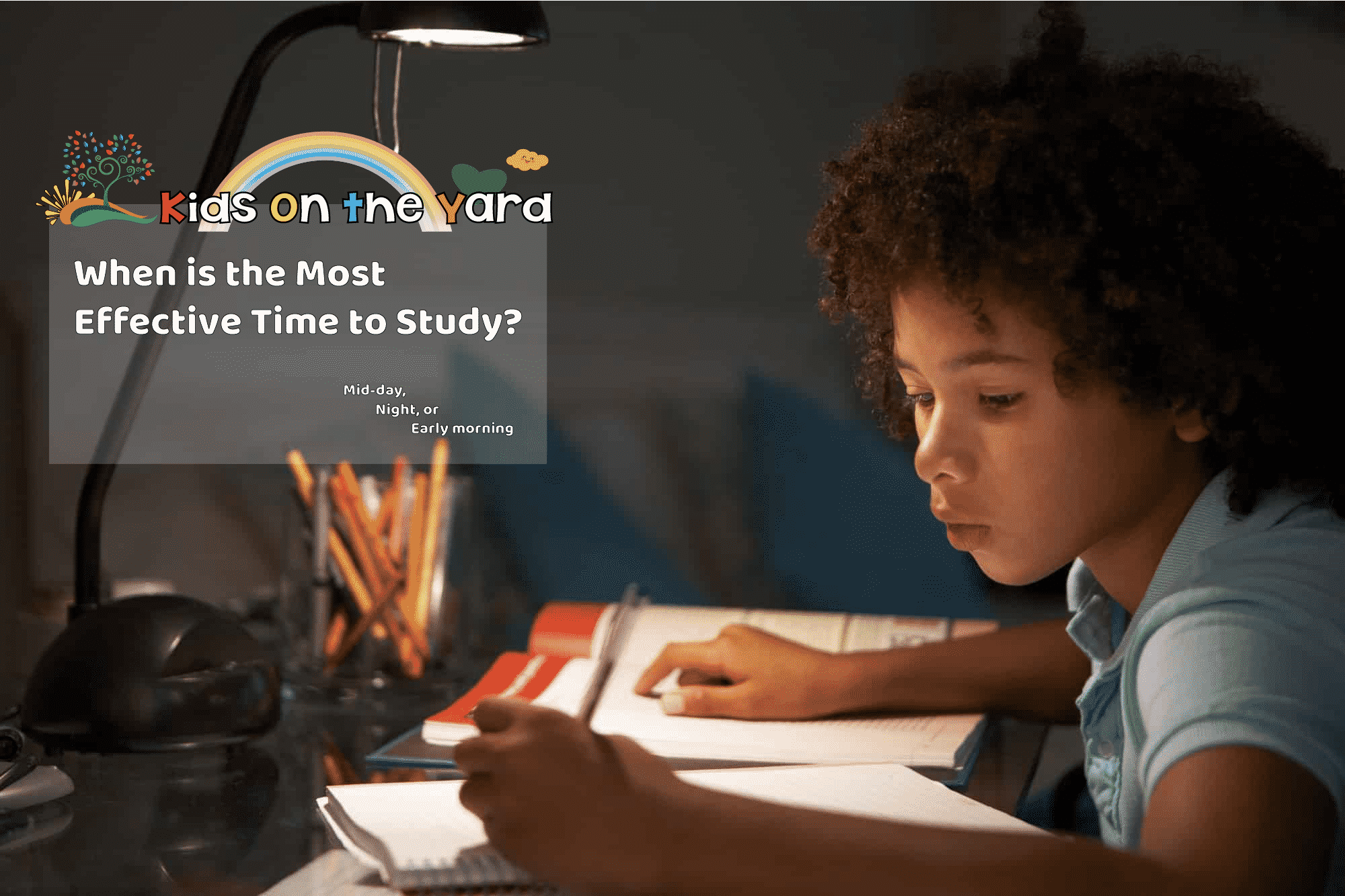 Morning vs. Night: Which is the Best Study Time?