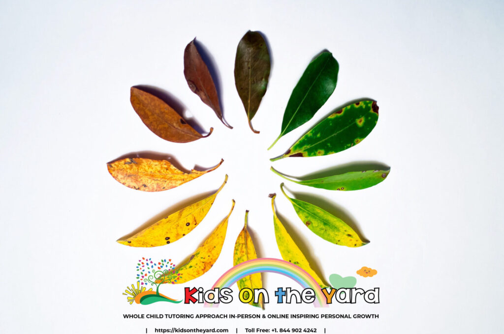 Time waits for no man; manage it well! 