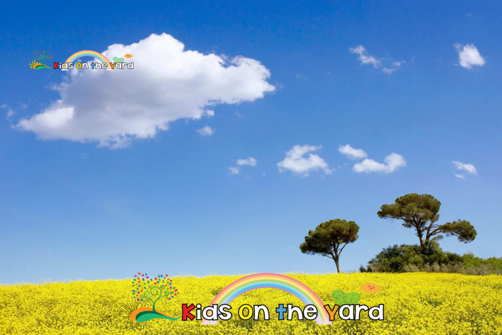 Fun spring activities for families, Spring Fun Activities for Preschool, Fun Spring Activities for Elementary Students, Fun Spring Activities for Middle School Students, Fun Spring Activities for Families, Spring teaching ideas, Spring activities for Families, Spring activities for kids, Spring activities for School, Spring activities for Middle Schoolers, Online spring activities, Spring break activities,