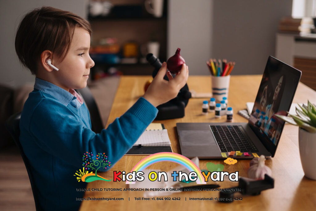 Top 5 areas students need a tutor to overcome challenges in school: Online learning using laptop, teacher and boy