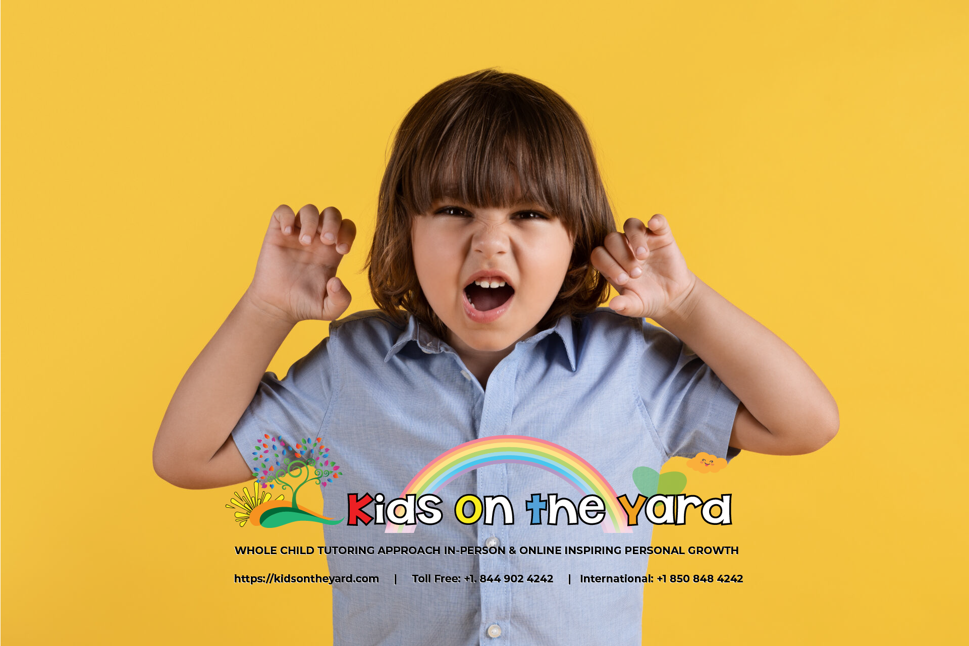 Causes of the Triggered Aggression in Special Needs Children: Part 1