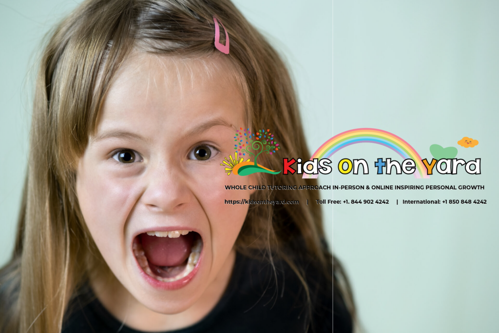 Causes of Aggression among Children with Special Needs